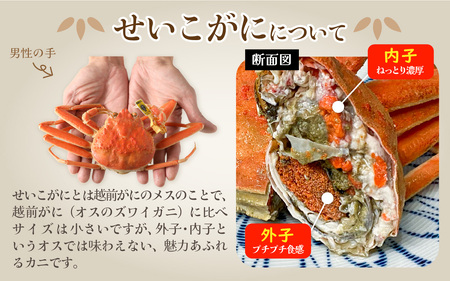 Ｂ　越前がに甲羅盛（145g前後 × ２個）合計２個 [E-096006_02] 