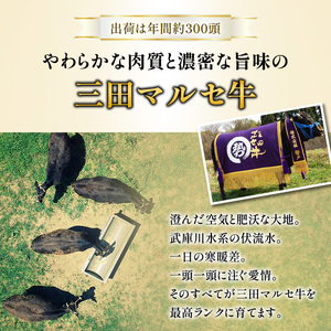 【ふるさと納税】 三田 マルセ牛 焼肉 500g 焼き肉 やきにく 焼肉 焼肉パーティ 勢戸 牛肉 ギフト 肉 お祝い 但馬牛 神戸牛 三田牛 数量限定 訳あり ふるさと納税 ふるさと 人気 おすすめ 送料無料 兵庫県 三田市 [3d28bae610034]