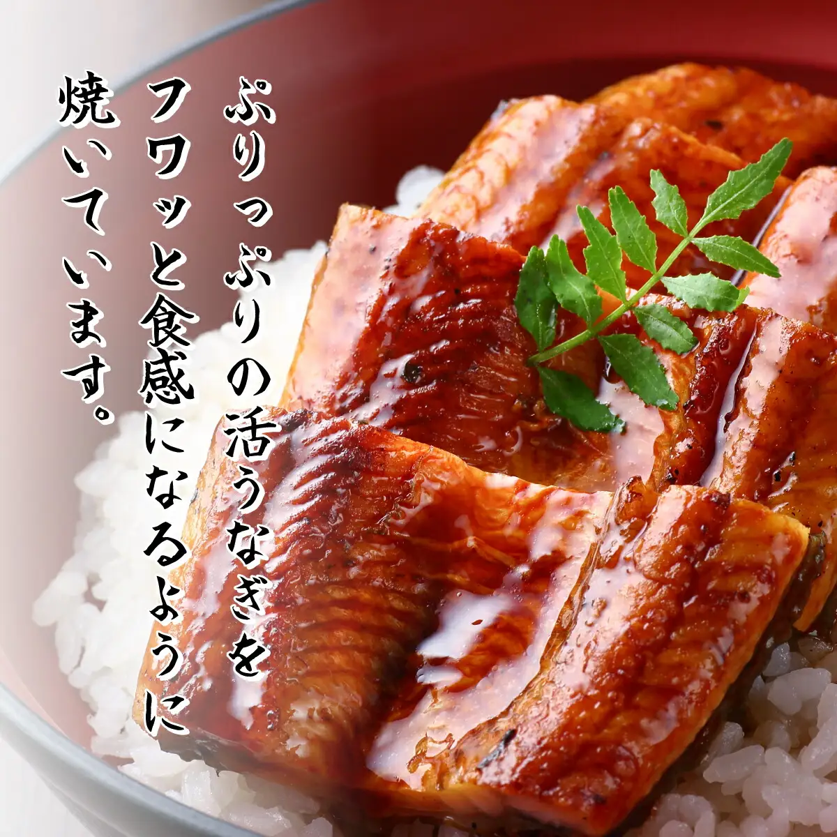 国産うなぎ蒲焼 白焼 2尾（約190g×2）【hn089】