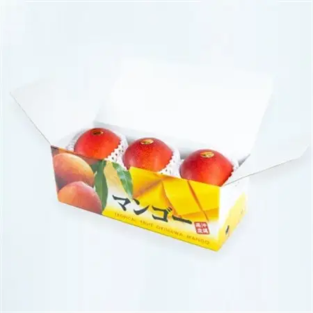 【先行受付・2026年6月から順次発送】山城フルーツ園のアーウィンマンゴー秀品1kg【配送不可地域：離島】【1439542】