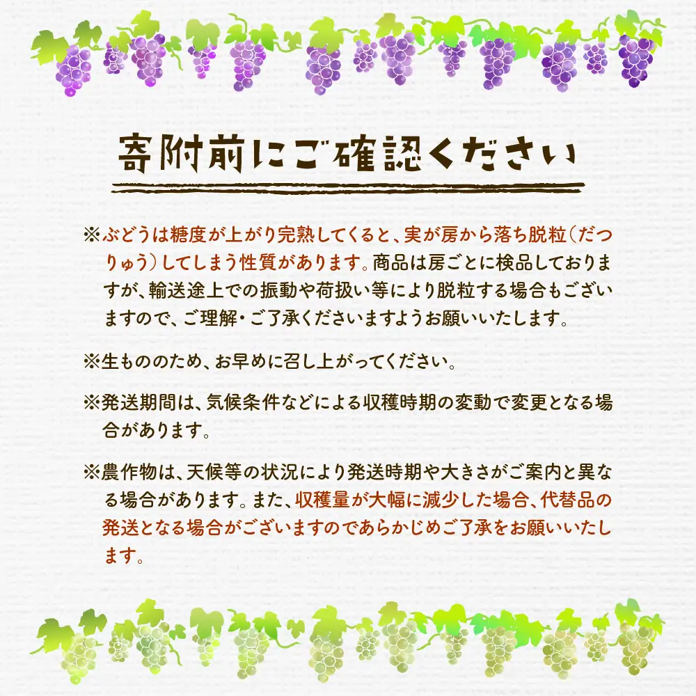【2026年産】ぶどうシャインマスカット秀品 化粧箱入2房 ぶどう