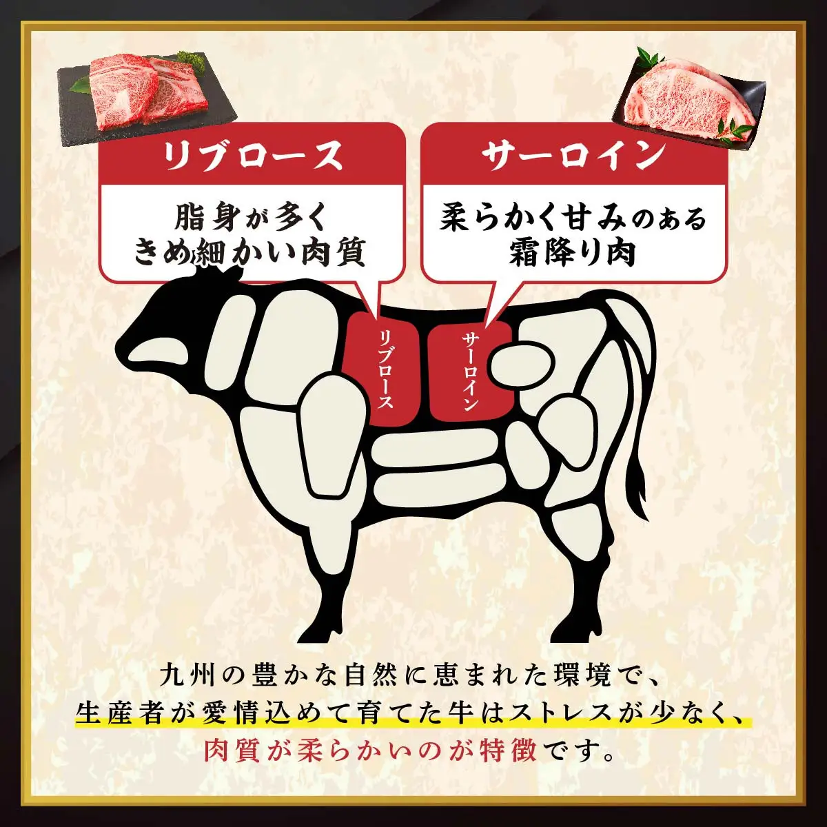 【数量限定】九州産黒毛和牛ロースステーキ食べ比べセット