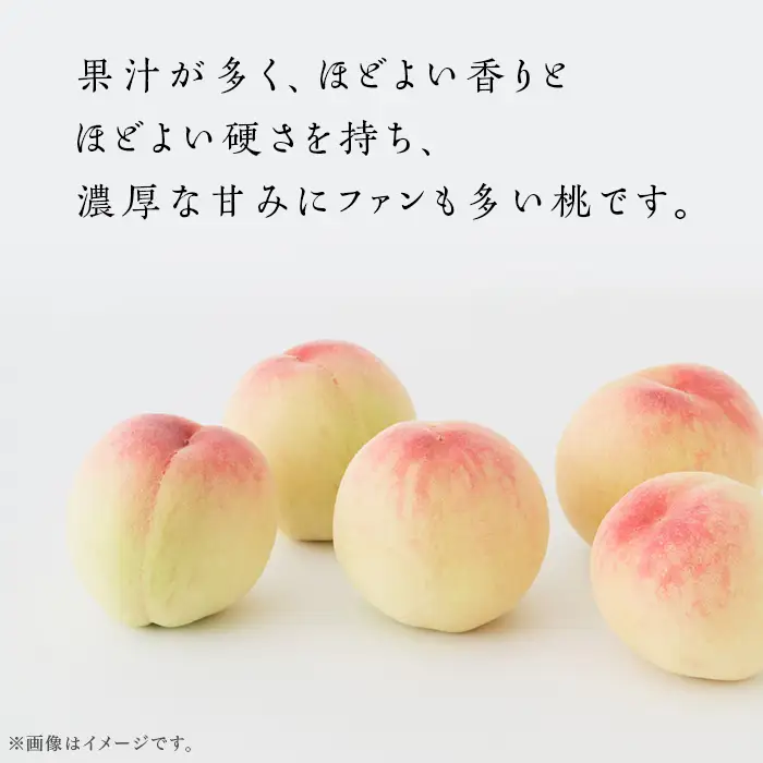 【ご家庭用】岡山の桃 日川白鳳 5～7玉【2026年6月下旬頃から順次発送】