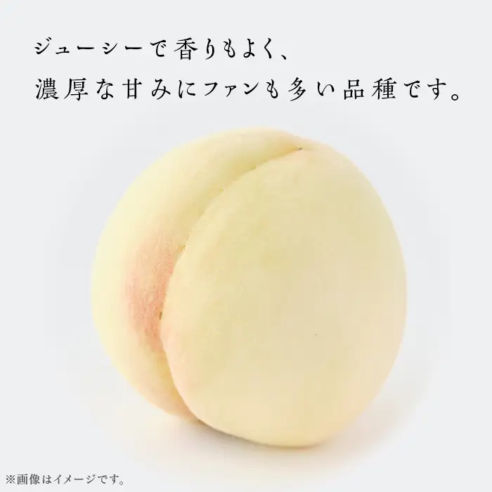 【ご家庭用】岡山白桃 白鳳 5～7玉【2026年7月上旬頃から順次発送】