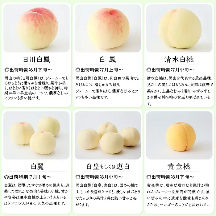 【ご家庭用】岡山白桃 清水白桃 5～7玉【2026年7月中旬頃から順次発送】