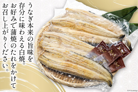 うなぎ 国産 静岡 うなぎ白焼 4尾 セット 140g×4 計約560g [静岡鰻販売 静岡県 吉田町 22424177]