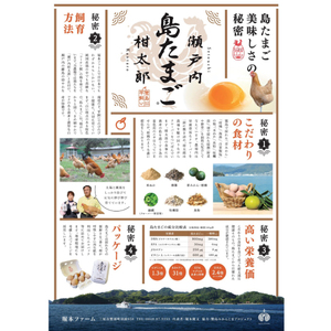 【3ヶ月 定期便】 瀬戸内柑太郎 『島たまご』平飼い有精卵 36個(34個＋割れ補償2個)  平飼い 純国産鶏 コーチン種 卵 たまご 佐木島 三原 広島 3回 017033