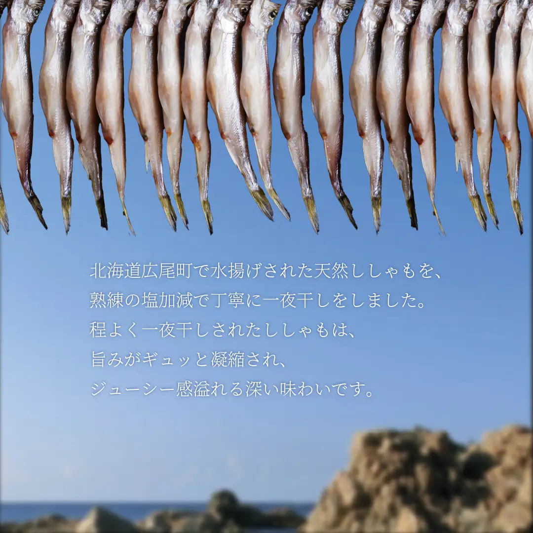 【広尾町産】干物専門店かぶらぎ水産のオスししゃもL３０尾