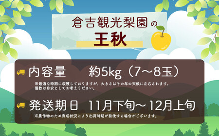 数量限定 王秋 5kg 【倉吉産】（倉吉観光梨園） 梨 果物 フルーツ