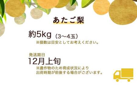 あたご梨 【倉吉産】 ５ｋｇ（倉吉市果実農業共同組合） 梨 あたご梨