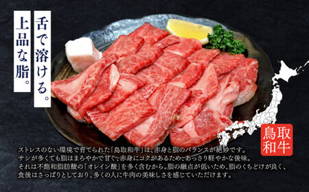 鳥取いなば万葉牛 焼肉用カルビセット（1kg） 牛肉 鳥取和牛 焼肉 カルビ