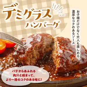 デミグラスハンバーグ・和風おろしハンバーグセット各160g×6個 A05071