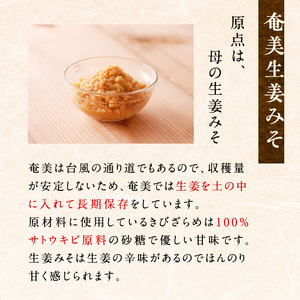 奄美島豚みそ・奄美生姜みそ A146-003 みそ 味噌 ミソ 豚味噌 豚みそ 生姜みそ 茶請け味噌 伝統 島豚みそ お供 生姜 しょうが 豚 ほんのり 甘い 辛味 AMAMIMAMA ふるさと納税 奄美市 おすすめ ランキング プレゼント ギフト