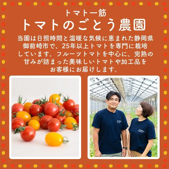 高糖度の完熟トマトを使用 510トマトビーフカレー（外箱無し・パウチ包装タイプ）4パック  訳あり 人にも環境にも優しい エコ こだわり レトルト カレー  シチュー おいしい 人気 リピート多数 非常食 保存食 長期保存 防災食 備蓄食 災害用品 災害用保存食 防災グッズ 防災用品