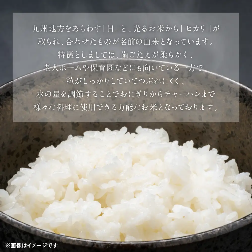 《令和7年産》熊本県八代市産 球磨川急流米 ヒノヒカリ 20kg 国産 白米 精米 お米 コメ 米 ライス ご飯 ごはん 白飯