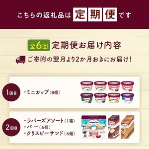 ＜全6回・隔月＞食べ比べ定期便！ハーゲンダッツ人気 セット アイス スイーツ デザート_H0016-178