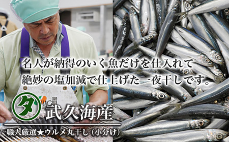 職人厳選 ウルメ丸干し小分け（4尾×12袋）鰯 いわし おつまみ 珍味 グルメ 魚 海鮮 ギフト 酒 ビール 日本酒 焼酎 贈り物 国産 愛媛 愛南町 武久海産