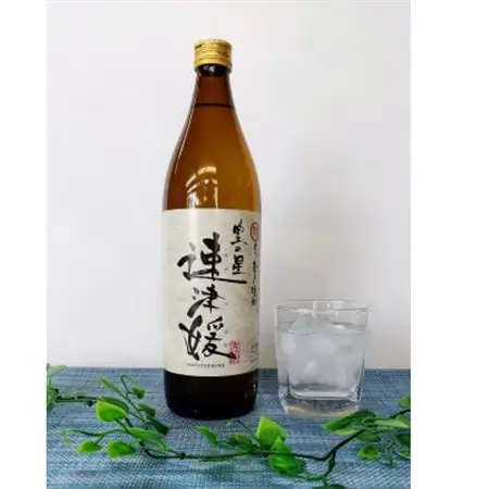 大分むぎ焼酎　二階堂2本と速津媛2本25度(900ml)4本セット_大分むぎ焼酎 二階堂 麦焼酎 焼酎 酒 酒セット 焼酎セット  まとめ買い 飲み比べ_【1456977】