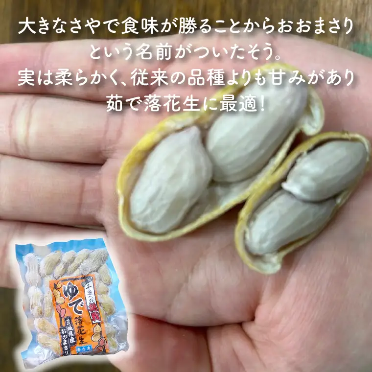 【期間限定】テレビでも紹介されました！道の駅でも人気！【モーツァルトを聞かせた干し芋】★秋の味覚セット★ 紅はるか平干し500g＆ゆで落花生（訳あり）500g（AY-9）