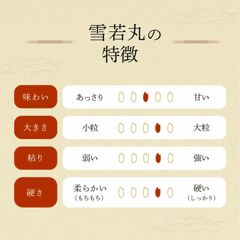令和7年産　雪若丸 精米 5kg×1袋　庄内観光物産館