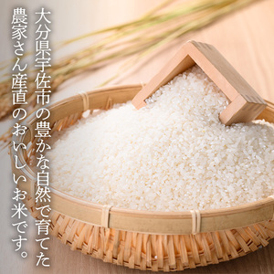 ＜令和7年産＞ひのひかり 白米 (計10kg)お米 10キロ ヒノヒカリ 美白米 真空パック 真空包装【114900104】【祥田産業】