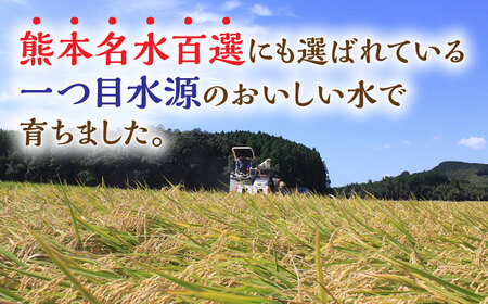 〈令和7年度産米〉ヒノヒカリ 白米 10kg （5kg×2袋）【竹下農園】[ZEL001]