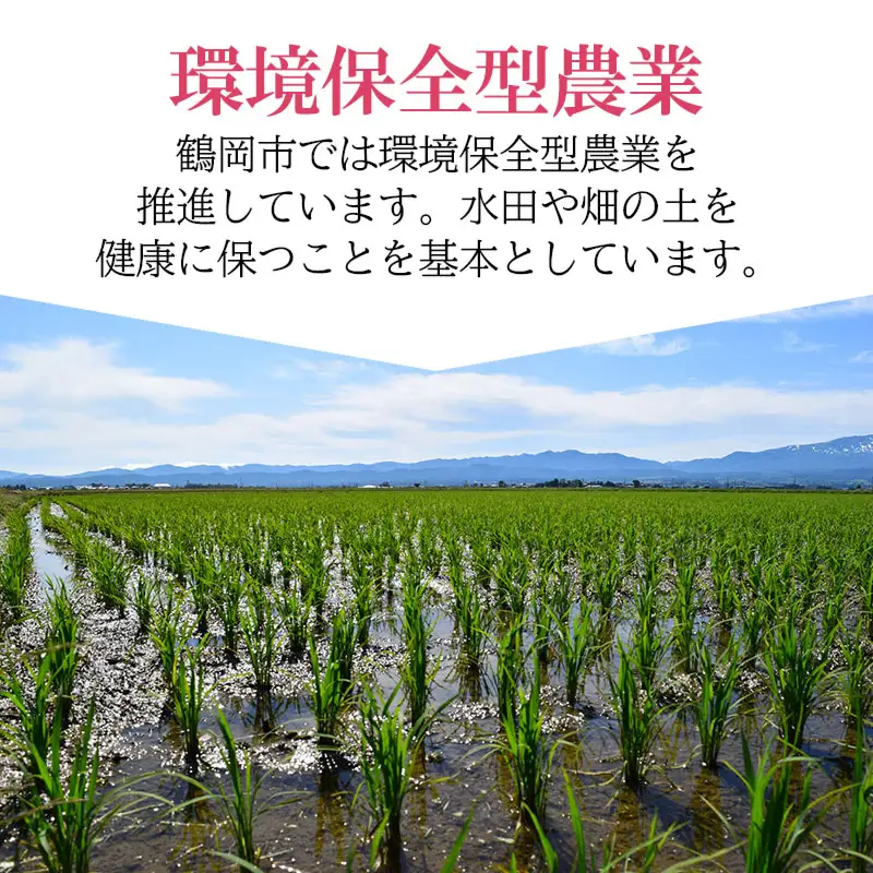 【令和7年産】 特別栽培米ひとめぼれ 乾式無洗米 10kg（5kg×2袋）山形県鶴岡市産　有限会社コープスター会　| 米 こめ コメ 10キロ ブランド米 庄内米 ごはん ご飯 美味しい 国産 おすすめ 人気 お取り寄せ 返礼品 