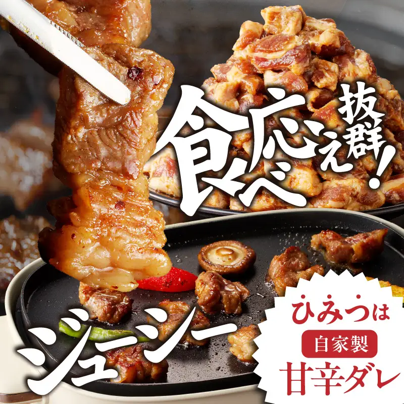 焼き肉専門店 自家製タレ漬け 中落ちカルビ 合計500g（250g×2）