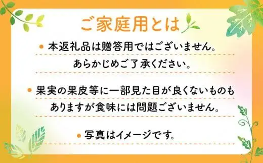 【訳あり】ご家庭用小原紅早生みかん(サイズおまかせ)　約2.5kg【11月下旬～1月下旬配送予定】｜早生ミカン みかん 早生みかん 訳アリ 訳あり 不揃い 家庭用みかん 甘い フルーツ くだもの 果物 柑橘 人気 おすすめ わけあり先行予約