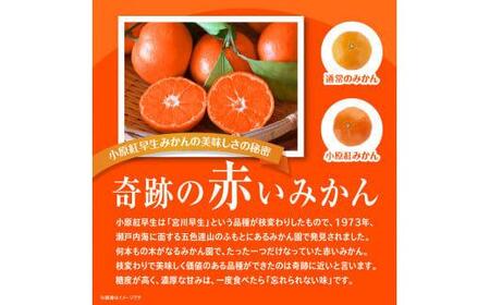 【訳あり】ご家庭用小原紅早生みかん(大玉)　約2.5kg【11月下旬～1月下旬配送予定】