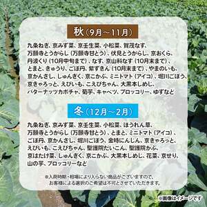 【野菜 定期便 4回】選りすぐり 旬の京野菜 詰め合わせセット 