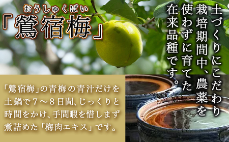 徳重おばあちゃんが受け継いだ梅肉エキス30g_AA-4901_(都城市) 鶯宿梅 おうしゅくばい 梅肉エキス(30g×1本) ミネラル成分たっぷり 栽培期間中農薬不使用の梅 梅エキス うめエキス 有限会社 徳重紅梅園