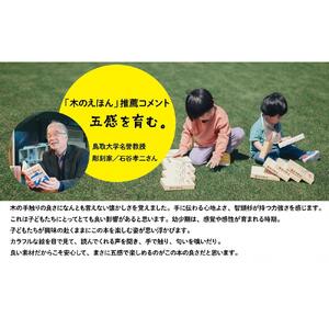 木のえほん6～10巻セット（専用木箱付き）