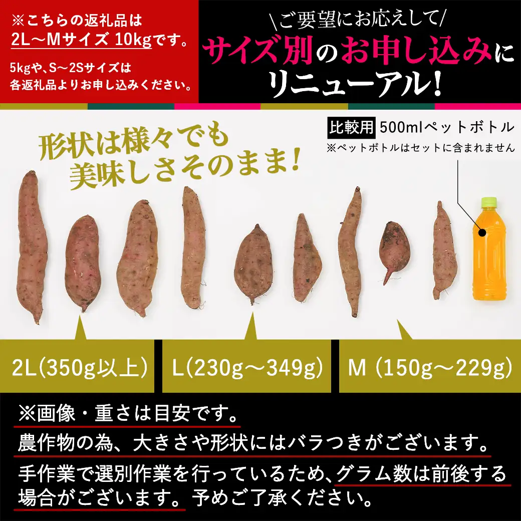 島津甘藷　熟成紅はるか 10kg(2L～M)_12-A701_(都城市) 島津甘藷 紅はるか 10kg サツマイモ 熟成 未選別 2L～M さつまいも 熟成 芋 定番 焼き芋 アウトドア