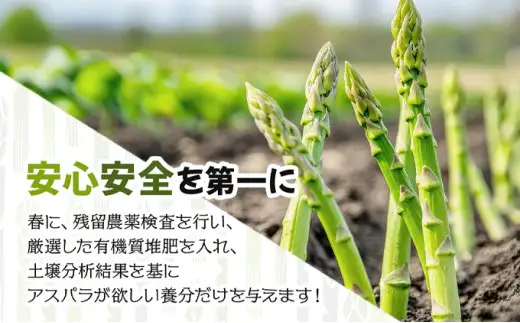 【令和8年産】北海道岩見沢産 春グリーンアスパラ 2Lサイズ 1kg【41103】