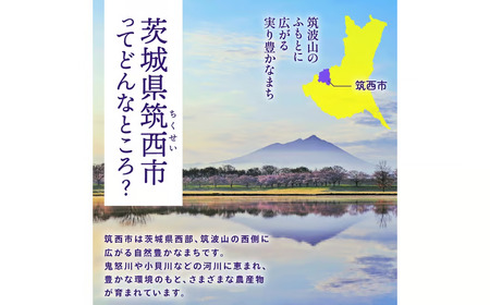 【 JA 北つくば 】 筑西ブランド 認証品 恵水 5kg 2026年産 先行予約