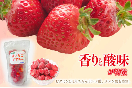 訳あり 冷凍 夏いちご すずあかね 約1kg [水山養殖場 宮城県 気仙沼市 20564004]