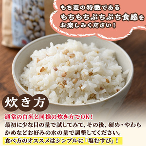 ＜令和7年産 ＞宮崎県日之影町産 もち麦米 (900g×5袋) 数量限定 紫もち麦 ヒノヒカリ 米 精米 国産 小分け 【AF001】【株式会社ひのかげアグリファーム】