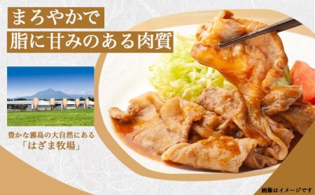 「きなこ豚」焼肉・とんかつセット 計2.1kg_MJ-1204_(都城市) ブランド豚 豚カツ用 トンカツ用(ロース / 肩ロース) 焼き肉用 (豚バラ / 豚肩ロース) 切り落とし 小間切れ