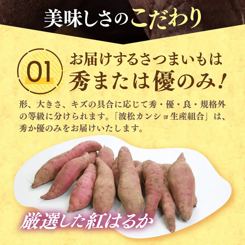 【先行予約】あわら市波松産 紅はるか 5kg / 厳選 不揃い さつまいも 土付き 熟成 焼き芋 福井県 薩摩芋 密芋 スイートポテト しっとり ほっくり 自然のスイーツ 極甘 農研機構許諾済 メディアで人気 腸活 ※2026年10月上旬以降順次発送予定 [aw084-a002]