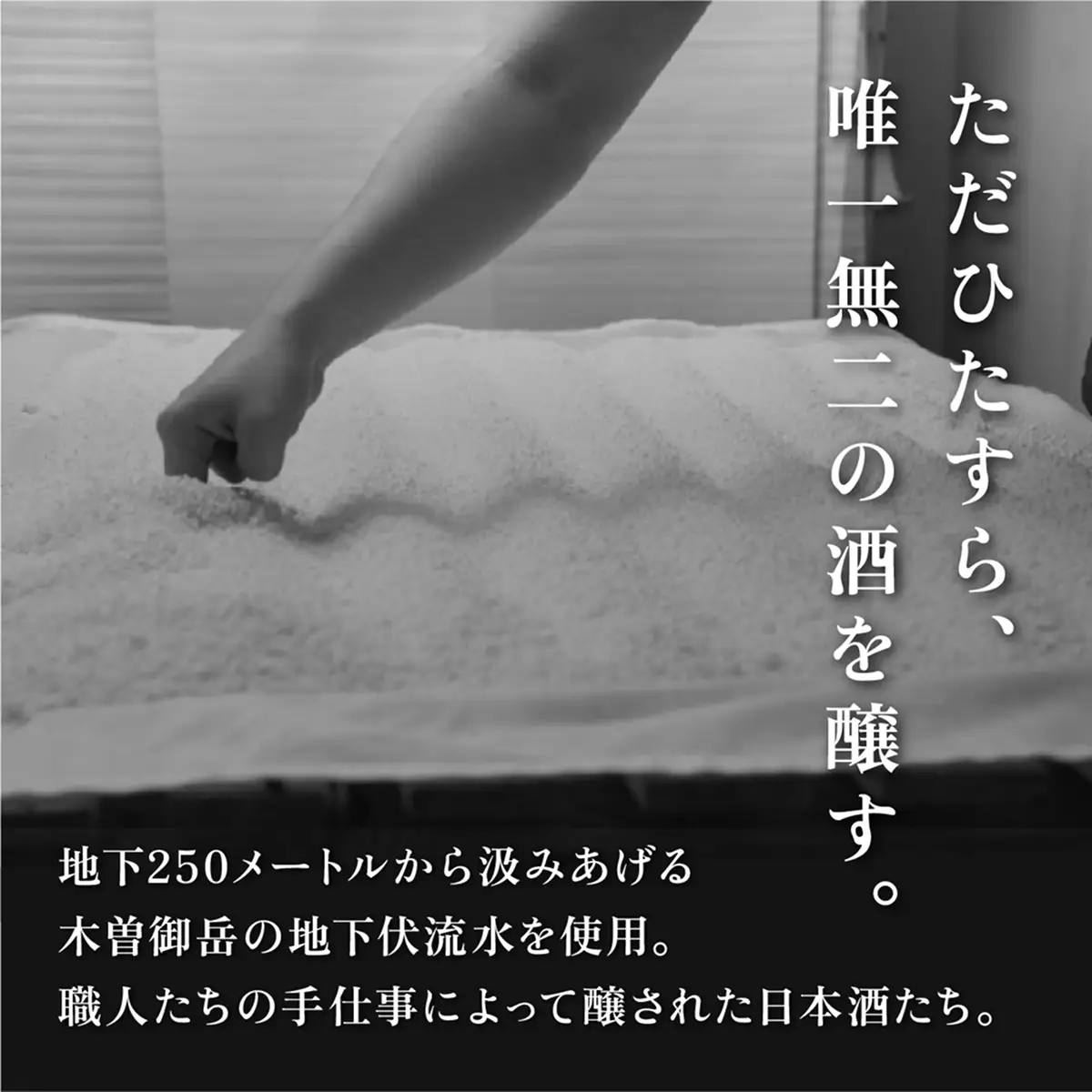 義侠 純米吟醸 原酒 3種 飲み比べ セット 各720ml 山忠本家酒造 加東市特A地区 東条産山田錦使用[ フロンティア東条 日本酒 酒 お酒 四合瓶 贈答品 ] 日本酒飲み比べ 日本酒セット 