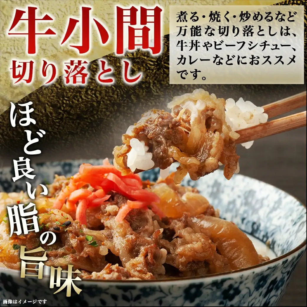 宮崎牛こま切り落とし1kg〔18-4207〕_(都城市) 牛小間切落とし肉 (500g×2パック/計1キロ) 旨味たっぷり 赤身と甘い脂がバランスよく混ざった牛切り落とし肉 炒め物/煮込み料理にも