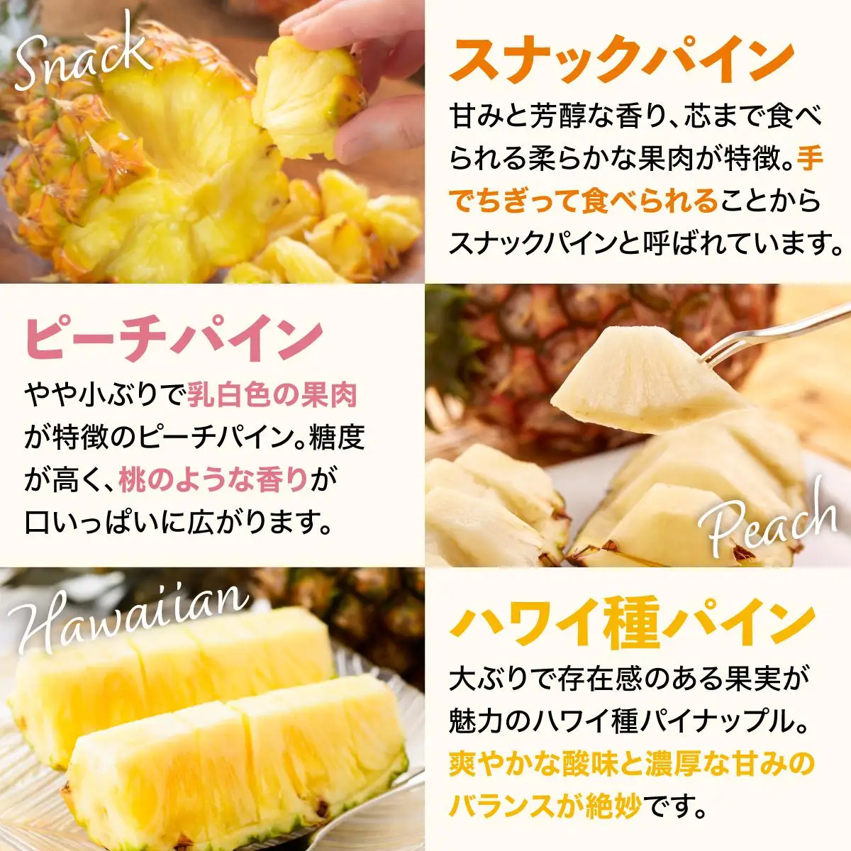 石垣島産パイナップル 2～6個 約3kg  KP-14