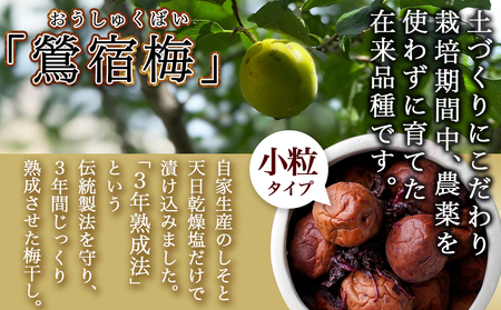 徳重おばあちゃんの3年熟成小粒梅干し1kg_MJ-4904_(都城市) 紅梅 いのちの梅干し うめぼし(500g×2) 塩分12％ 長期熟成 自家農園 伝統農法 お弁当 おにぎり ごはんのお供に なつかしい味の梅干し おうち時間