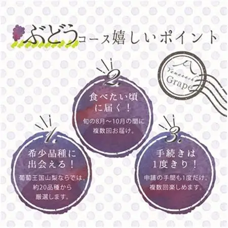 【発送月固定定期便】葡萄好きさん、集まれ～!人気のフルーツぶどうの定期便全3回【配送不可地域：離島・沖縄県】【4005030】