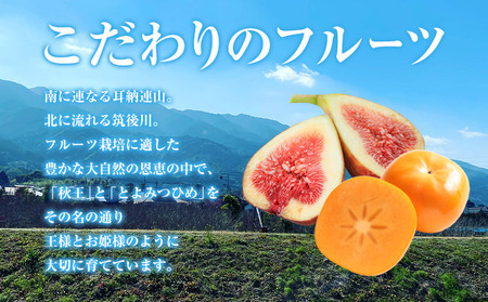 セミドライフルーツ 5袋セット とよみつひめ いのうえ農園 株式会社アジア開発貿易《30日以内に出荷予定(土日祝除く)》福岡県   ドライフルーツ いちじく イチジク 無花果 フルーツ くだもの 果物 スイーツ