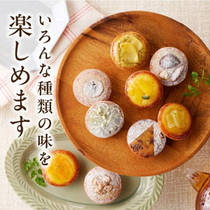 タルト専門店 人気 タルトレット 9個 詰め合わせ 一口サイズ タルト ケーキ フルーツ 焼き菓子 ドイツ菓子 誕生日 奈良県 生駒市 お取り寄せ スイーツ デザート おやつ 洋菓子 熨斗対応 贈り物 食べ比べ 手土産 冷凍 送料無料