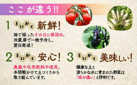 【4回定期便】＜アスカ有機農園＞旬の京野菜セットＳ 野菜