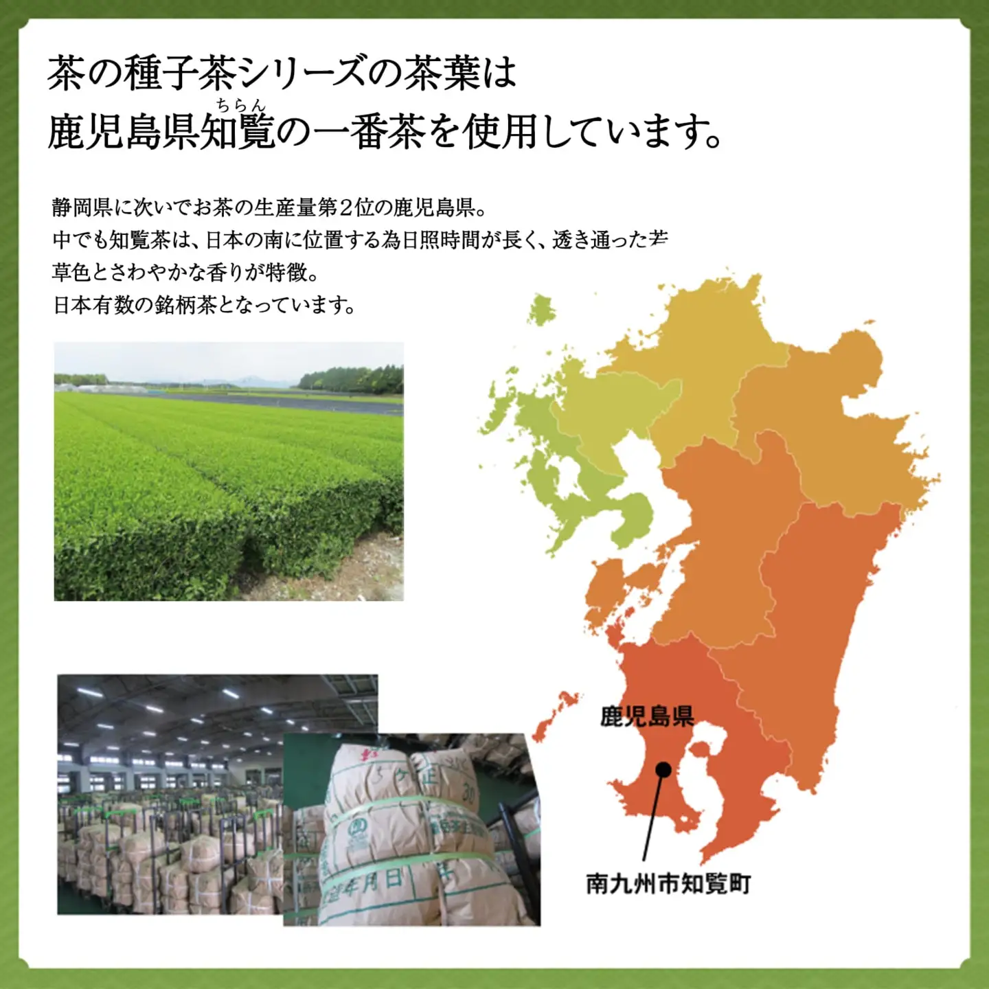 K2304 急須いらずの粉末茶【茶の種子玄米茶】4本セット/湯呑み約800杯分
