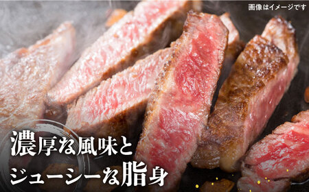＜全12回定期便＞佐賀牛 サーロインステーキ300g×2パック HCS058 ステーキ 牛肉